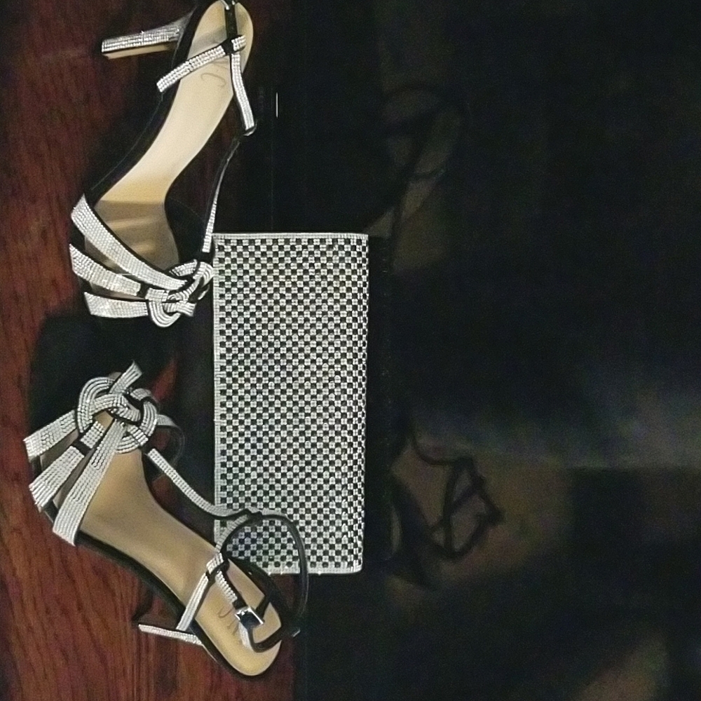 Evening Dress Shoes and Purse